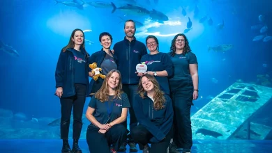 Plymouth Newspaper Headlines For The Week