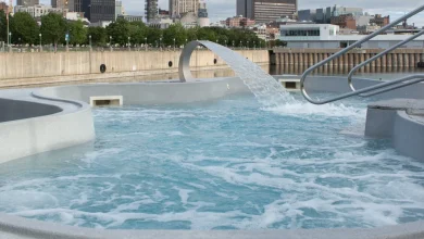 Poursuite de 800 000 $ | Luc Poirier accusé de « s’attribuer faussement la paternité » du Bota Bota