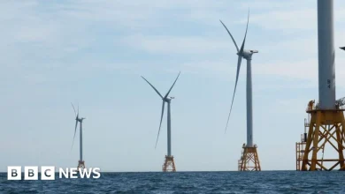 President Trump's ban on wind energy permits 'unlawful', court rules