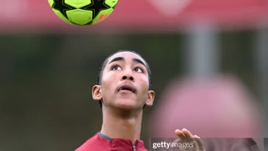 Progress report: Marli Salmon