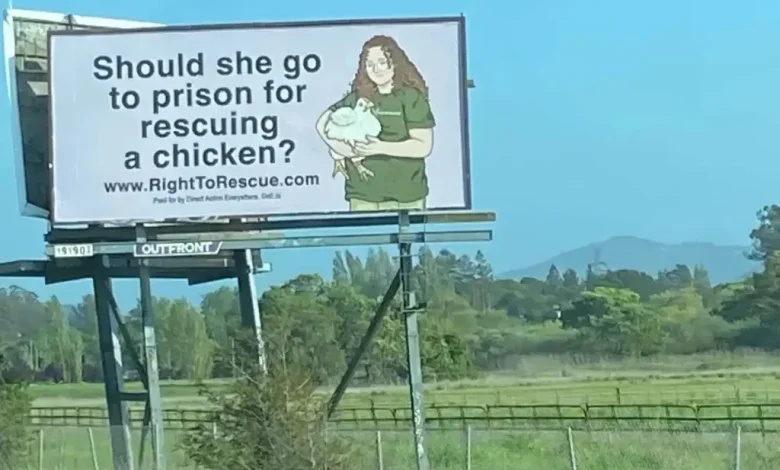 Prosecutors seek 180-day jail term for activist Zoe Rosenberg in Petaluma Poultry case