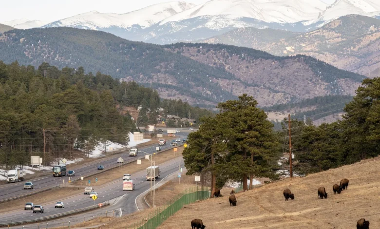 Protection for bison, renters and more. Here are some of the new laws going into effect January 1