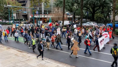 Protests mark muted day for New Orleans Border Patrol sweeps | Local Politics