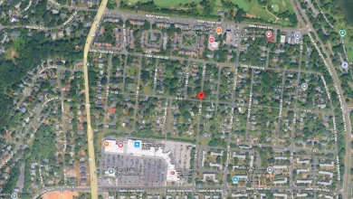 Rabies confirmed in cat caught after recent Belle Haven attacks