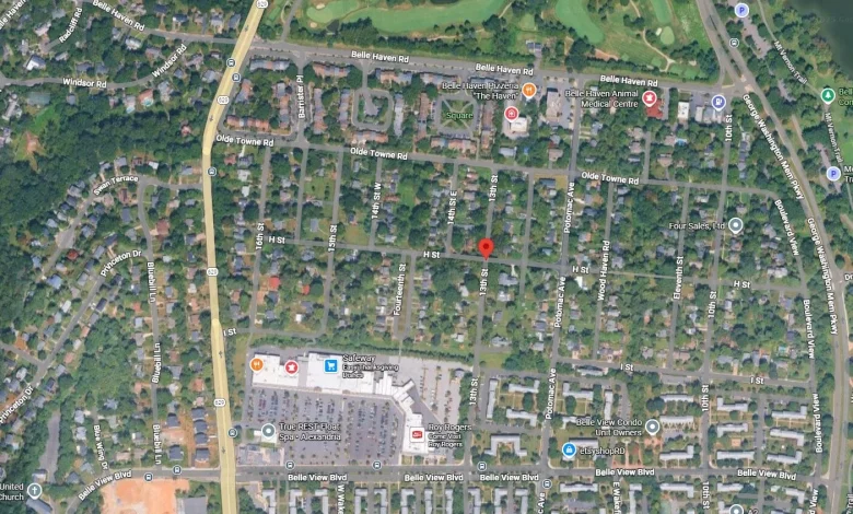 Rabies confirmed in cat caught after recent Belle Haven attacks