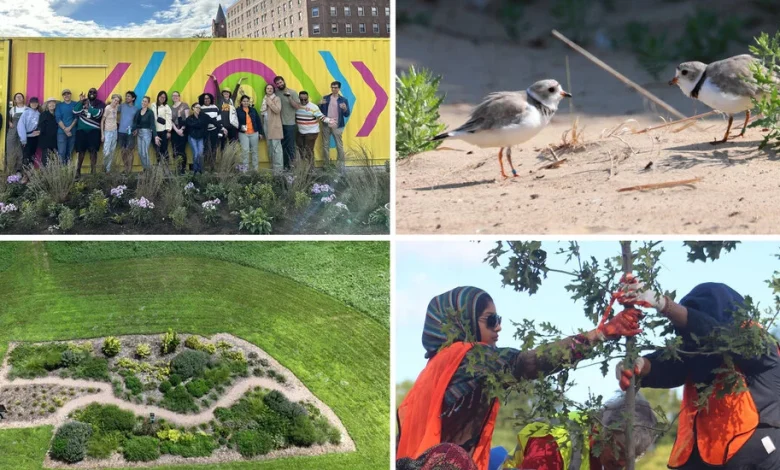 Readers Share Eco-Friendly Projects Happening In Their Communities
