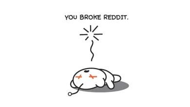 Reddit Down With Slow Loading Issues on December 19