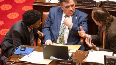 Republican state senator to Trump: Somalis are ‘woven into Minnesota’s fabric’ - MPR News