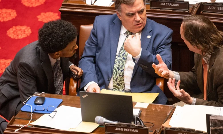 Republican state senator to Trump: Somalis are ‘woven into Minnesota’s fabric’ - MPR News