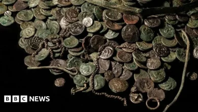 Rewards for historical finds law set for debate