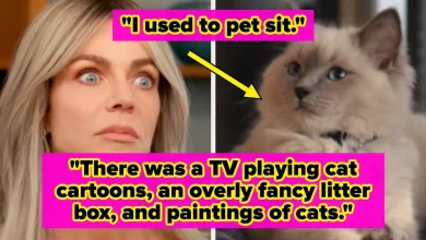 Rich People Staff Share Billionaire Secrets