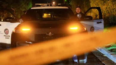 Rob Reiner Death Records Sealed "Until Further Notice" Amid LAPD Probe