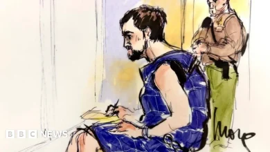 Rob Reiner's family breaks silence as son Nick faces court for murder charges