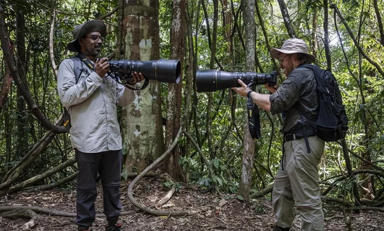 Rob & Romesh vs the Jungle on Sky Max HD: full details and when it's on