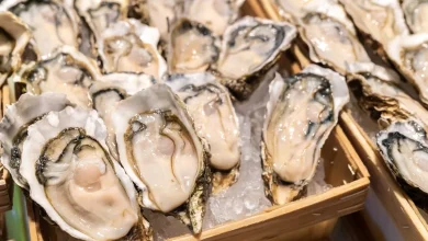 Salmonella outbreak linked to raw oysters hits 22 states including S.C.