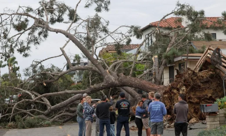 San Diego man killed by falling tree in third storm-related death