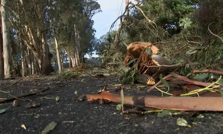 San Francisco Bay Area Weather: Thousands in South Bay still without power after strong Christmas storm