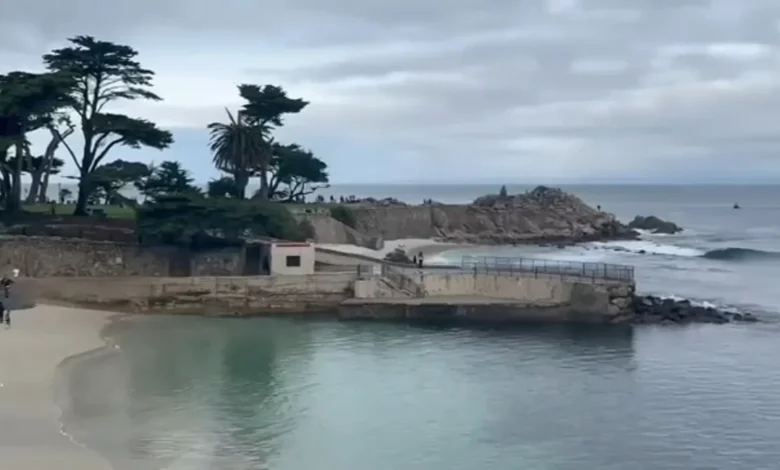 Search underway for missing CA swimmer after possible shark attack