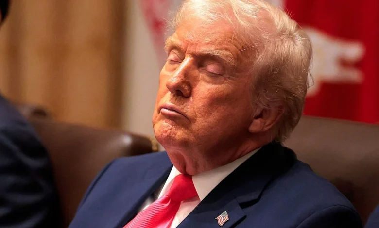 See Every Angle of Donald Trump, 79, Nodding Off in His Own Cabinet Meeting