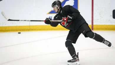 Senators recall forward Xavier Bourgault, defenceman Dennis Gilbert from AHL