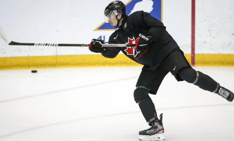 Senators recall forward Xavier Bourgault, defenceman Dennis Gilbert from AHL