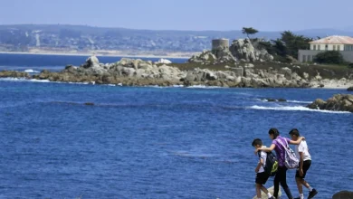 Shark attack feared after swimmer goes missing off Monterey Bay coast