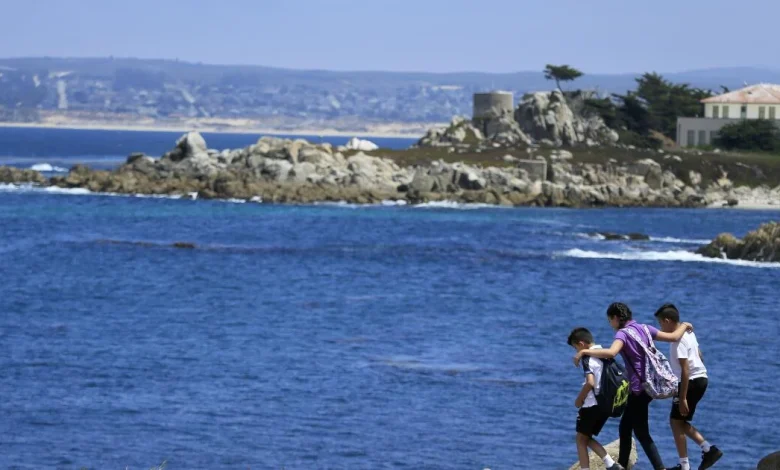 Shark attack feared after swimmer goes missing off Monterey Bay coast