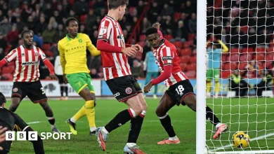 Sheffield United 1-1 Norwich City: Soumare's own goal gives Canaries point