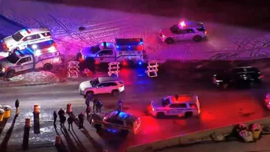 Shots fired by on-duty Customs officer near JFK in apparent road rage incident