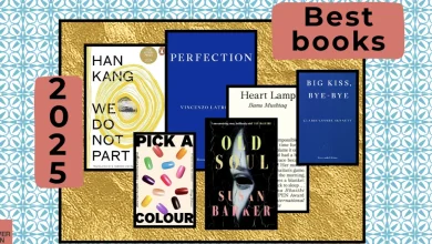 Six of the best novels of 2025 – chosen by our literary experts