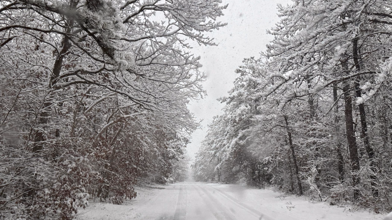 Snow falls across Long Island; roads slick, long delays at LaGuardia, JFK