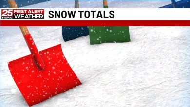 Snowfall Totals For Central Illinois