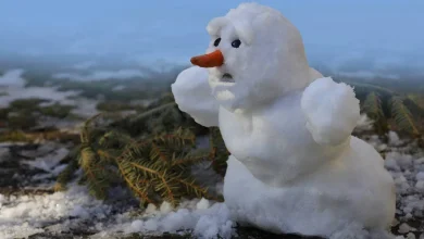 Snowflake update caused a blizzard of failures worldwide