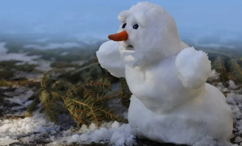 Snowflake update caused a blizzard of failures worldwide