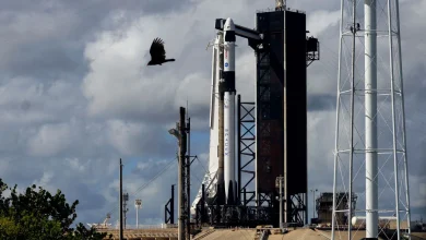 SpaceX reportedly in talks for secondary sale at $800B valuation, which would make it America's most valuable private company