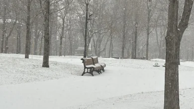 Special weather statement issued as Montreal braces for heavy mid-week snow