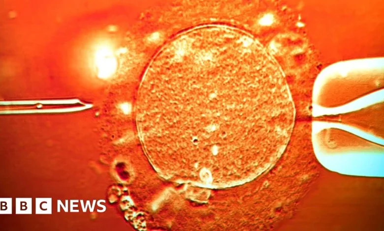 Sperm from donor with cancer-causing gene was used to conceive almost 200 children