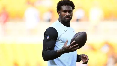 Steelers’ DK Metcalf swings at fan during sideline altercation in game vs. Lions