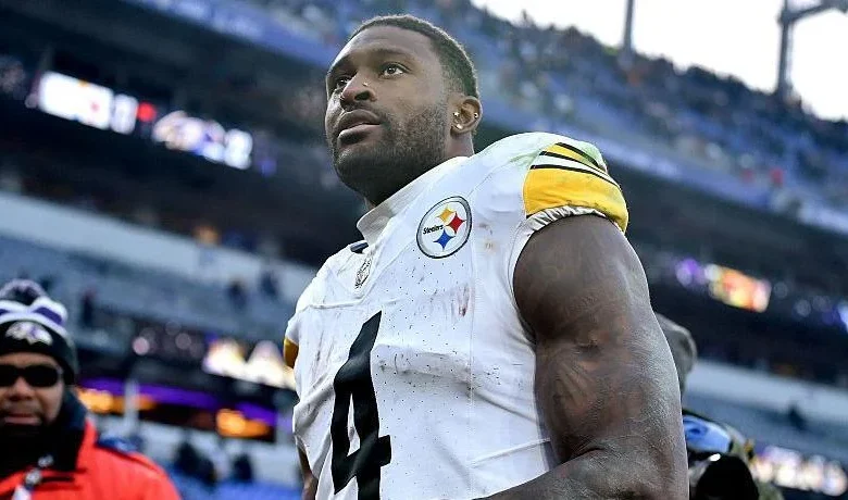 Steelers' Metcalf appears to punch fan during game