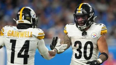 Steelers hang on in wild finish, defeat Lions 29-24