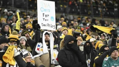 Steelers vs. Dolphins: What they're saying in Miami after loss