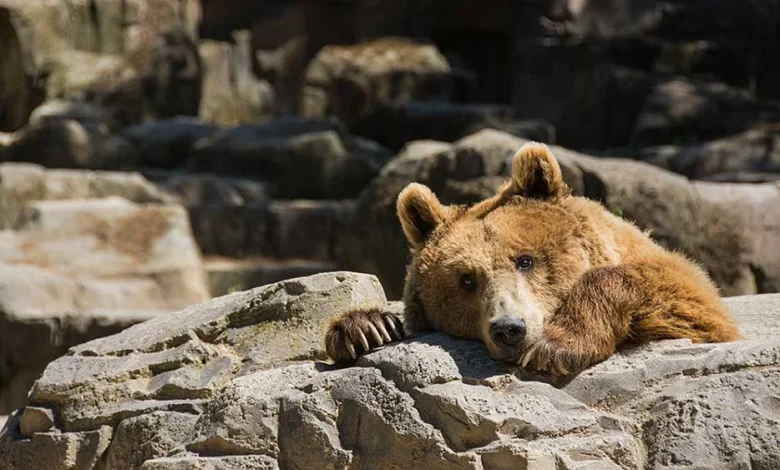 Stock Market Today: Nasdaq Edges Up; Dollar General Breaks Out; Robinhood At Key Level (Live Coverage)