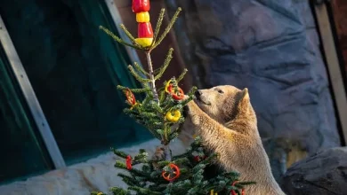 Stocks slump ahead of Fed meeting