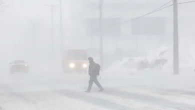 Storm could bring up to 40 cm of snow