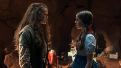 Stranger Things Fans Are Worried After Season 5, Volume 2