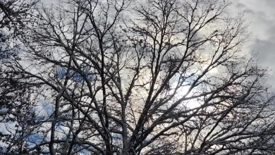 Stuck below freezing for 48+ hours, NJ’s next storm system is a rainmaker