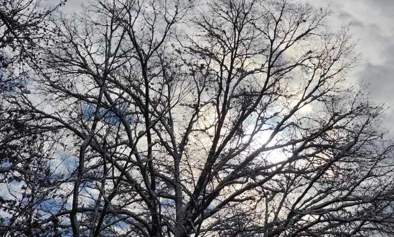 Stuck below freezing for 48+ hours, NJ’s next storm system is a rainmaker