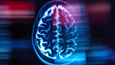 Studies Find One Condition Semaglutide Doesn't Treat: Alzheimer's : ScienceAlert