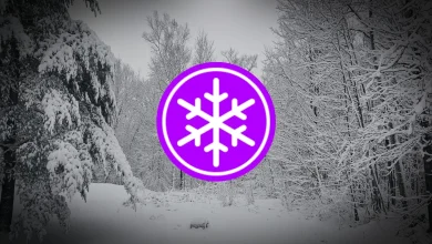 Succession de systèmes sur le Québec : bordée possible pour Montréal