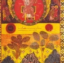 Sunday Reflection with Canon Robin Gibbons: 30 November 2025